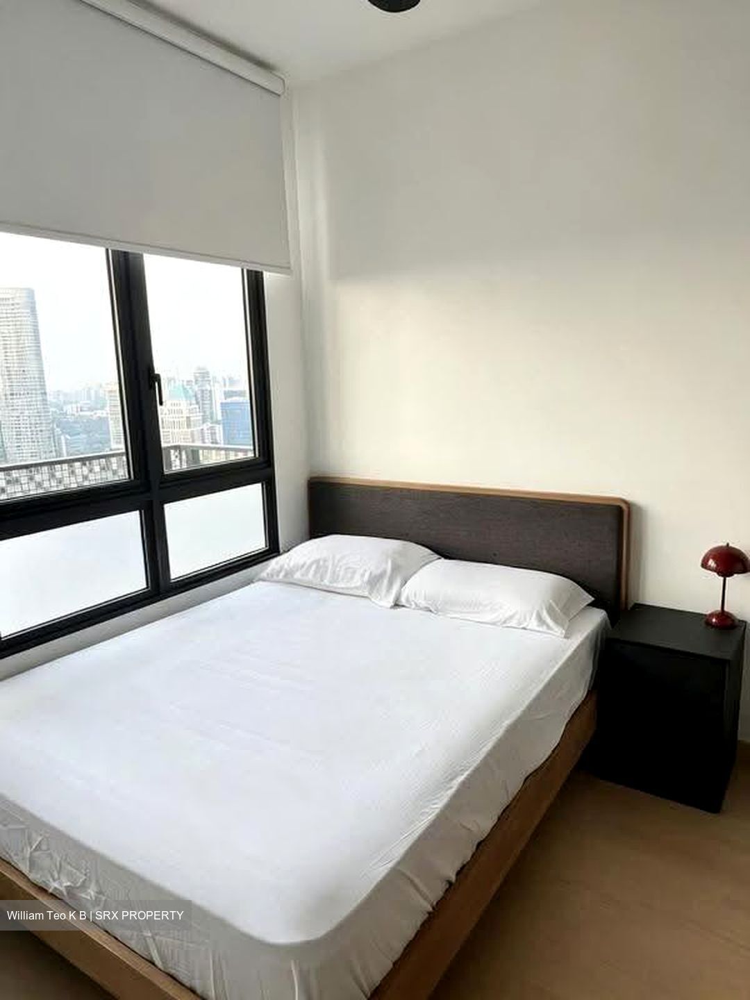Irwell Hill Residences (D9), Apartment #612572861